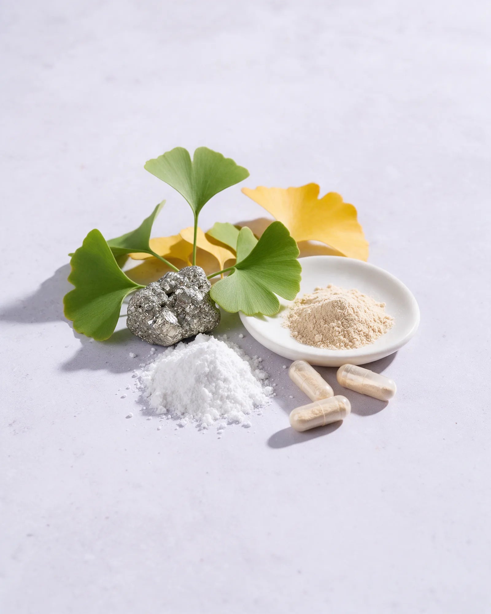Ginkgo leaves, a mineral stone, white powder and capsules on a light surface